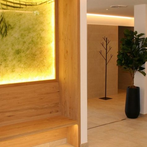 csm_Alphotel-Innsbruck-Tirol-Panoramasauna-Eingangsbereich_c5ba6908d1